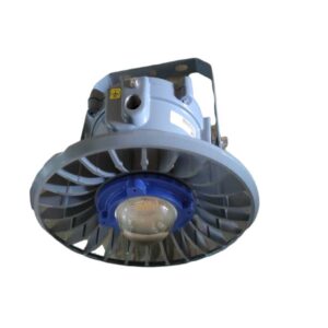 Flood(Sunflower) Light Fitting